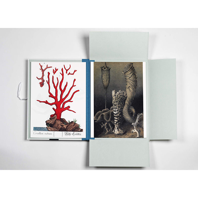 PEPIN Art Portfolios Marine