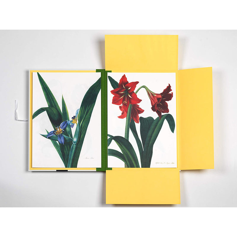 PEPIN Art Portfolios Flower Prints
