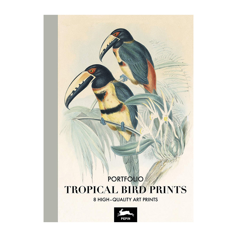 PEPIN Art Portfolios Tropical Birds