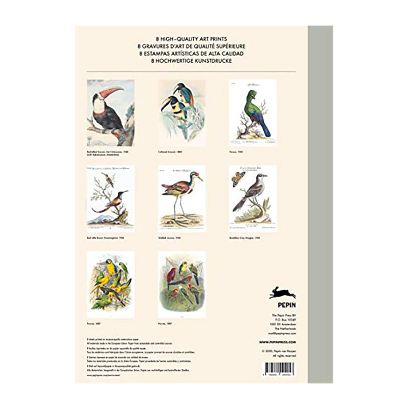 PEPIN Art Portfolios Tropical Birds