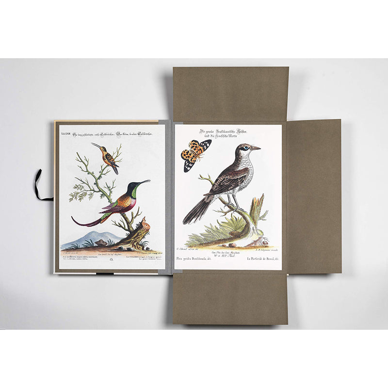 PEPIN Art Portfolios Tropical Birds