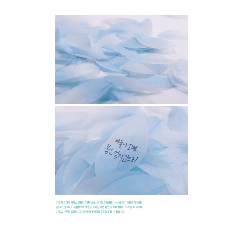 APPREE Sticky Leaf Memo M Birch Blue Default Title