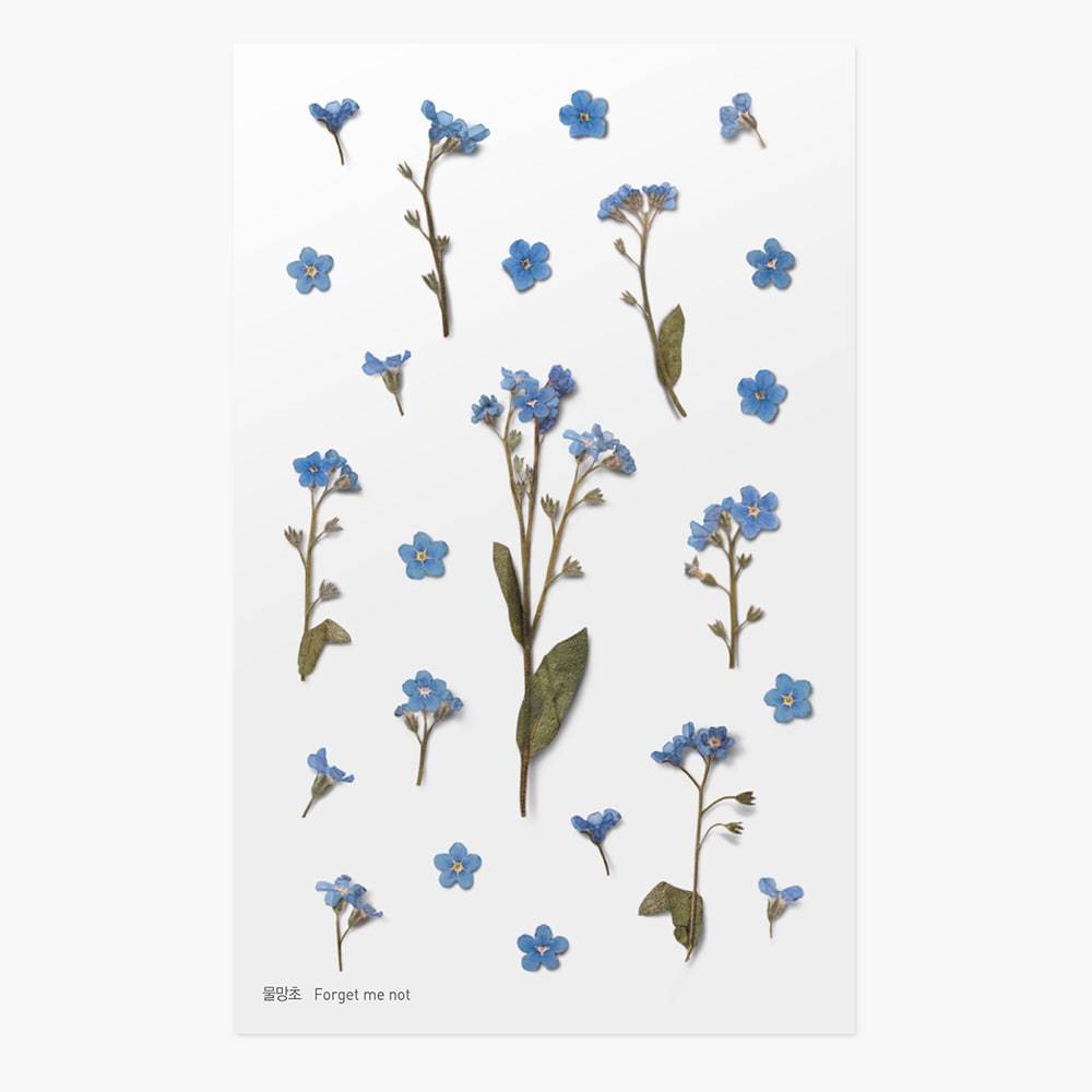 APPREE Press Flower Stickers Forget Me Not Default Title
