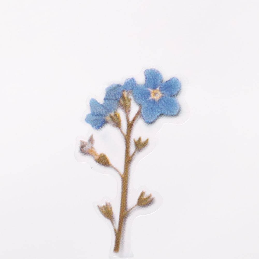 APPREE Press Flower Stickers Forget Me Not Default Title