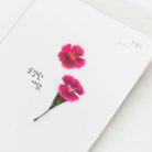 APPREE Press Flower Stickers China Pink Default Title