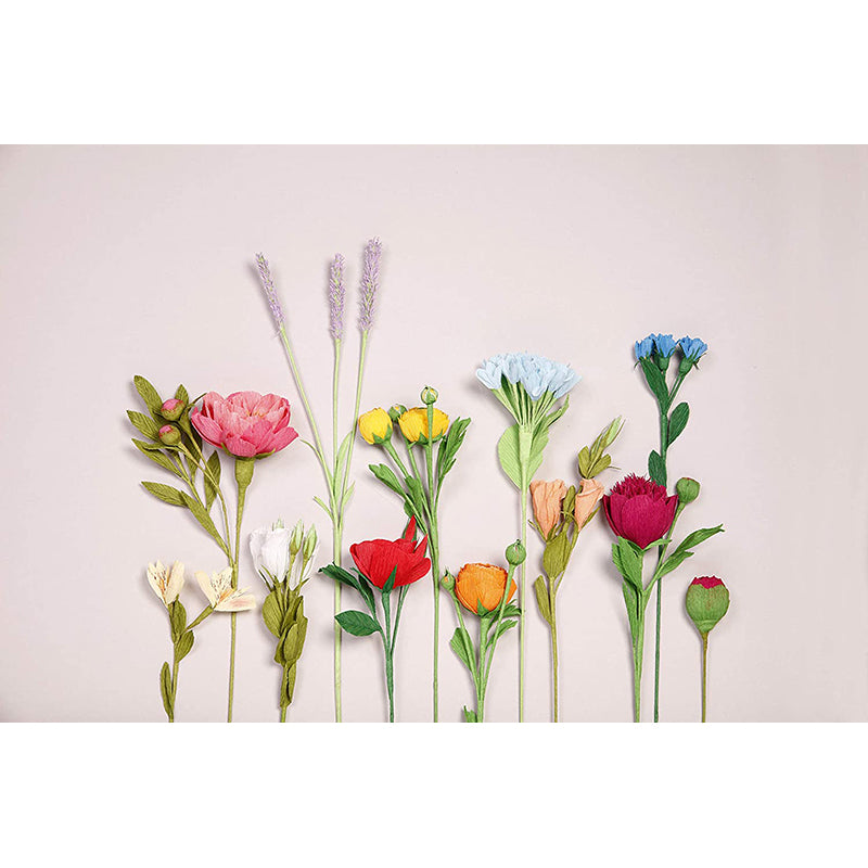 CLAIREFONTAINE Florist Crepe Paper 25x100cm Pastel Assorted 10s Default Title