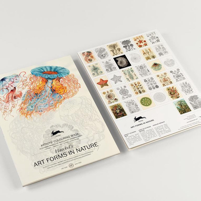 PEPIN Artists' Colouring Book Art Forms in Nature 1206821