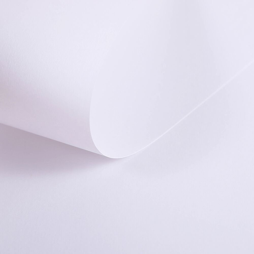 KOKUYO Campus Loose Leaf B5 26H 20s Sketching PP Default Title