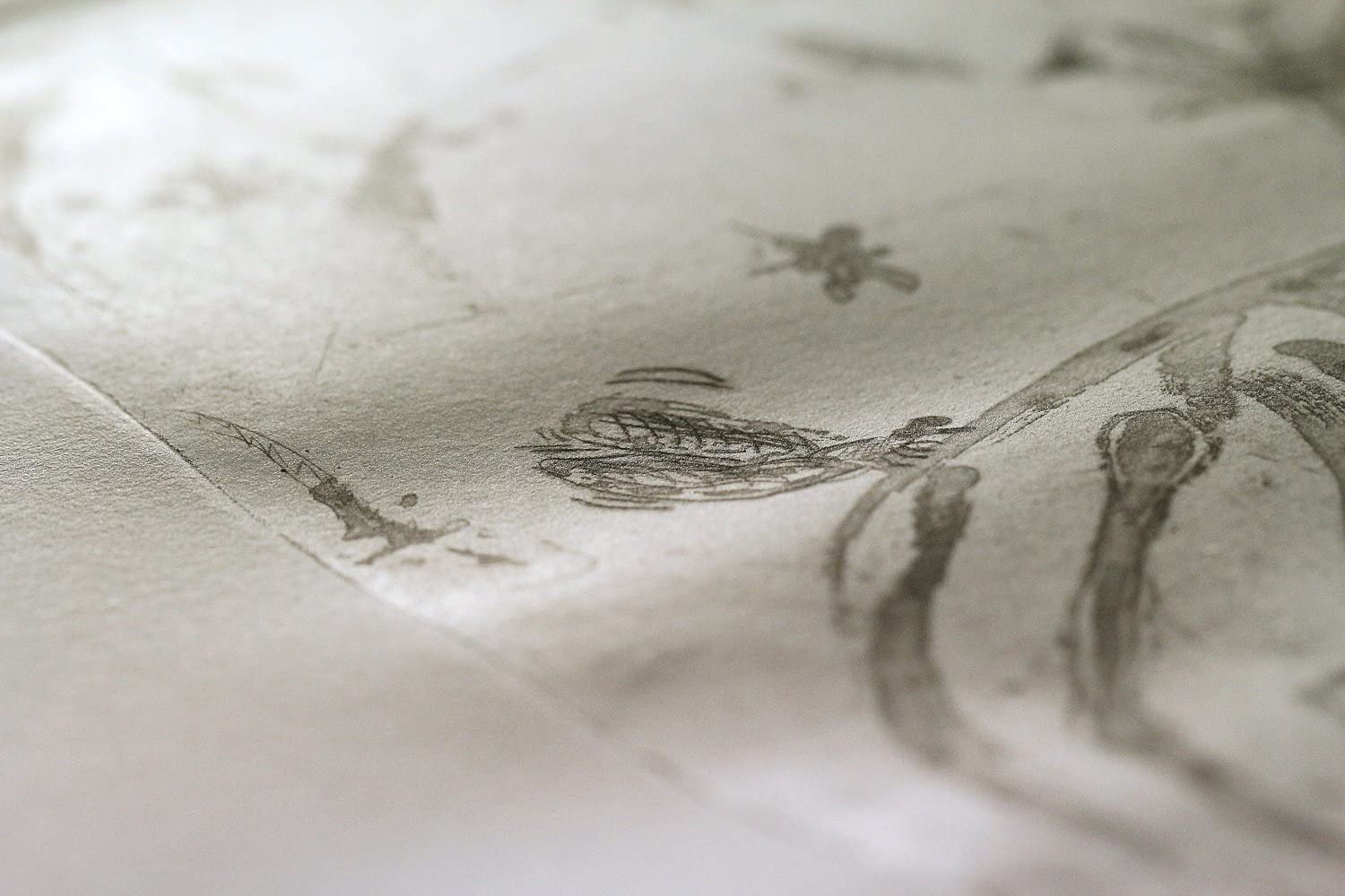 CLAIREFONTAINE Cotton Flower Paper Pack 24x30cm 250g 1s