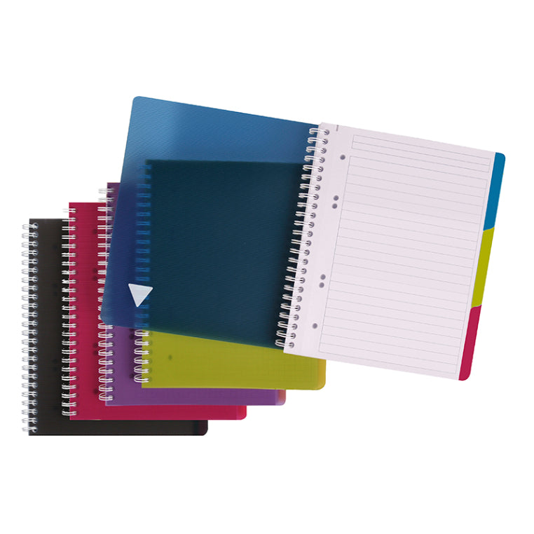 CLAIREFONTAINE Linicolor Intensive Subject Notebook A5+ 90s Pu Default Title