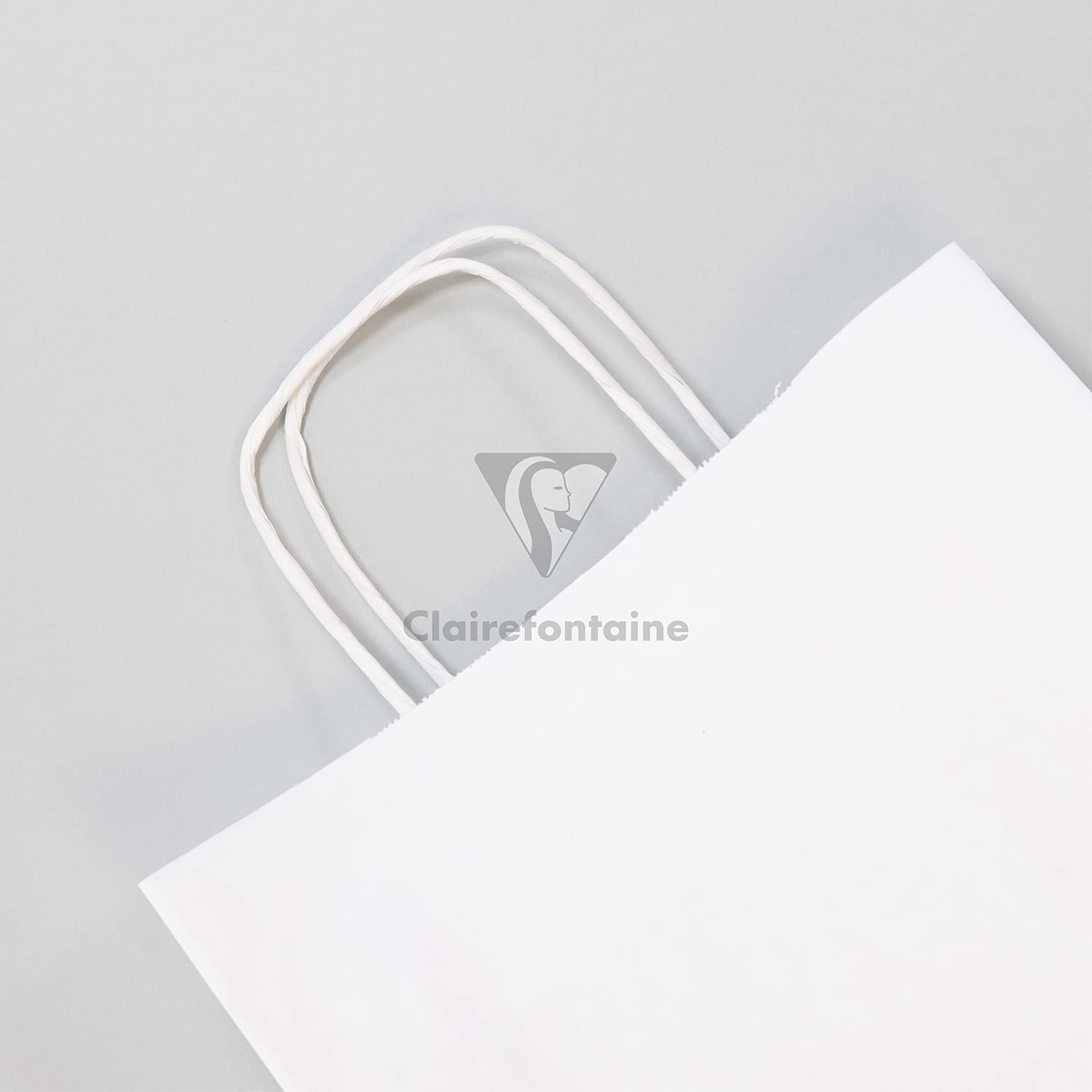 CLAIREFONTAINE Kraft Bags Plain Kraft 90g 22x10x29cm 1s White Default Title