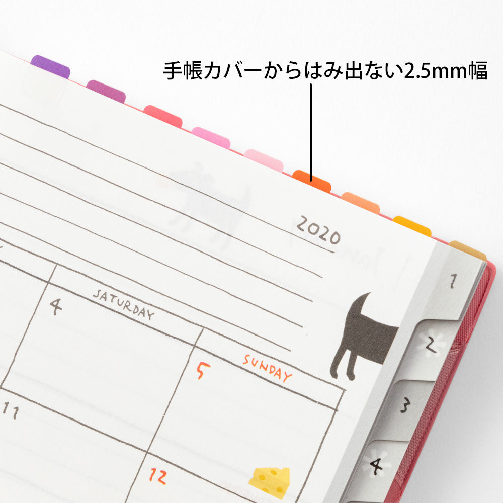 MIDORI Index Label Chiratto 24 Colors Vivid