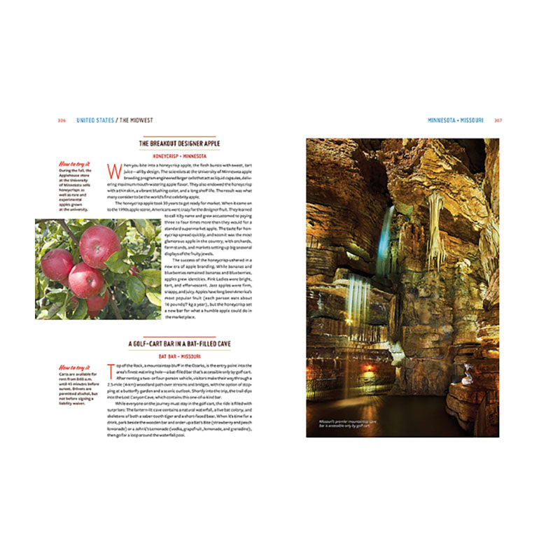 Gastro Obscura : A Food Adventurer's Guide Default Title