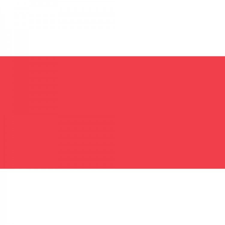 SHINHAN Touch Twin Marker R12 Coral Red