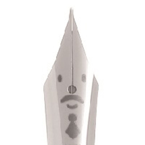 PILOT Kakuno LE Fountain Pen-Medium Papa Blue