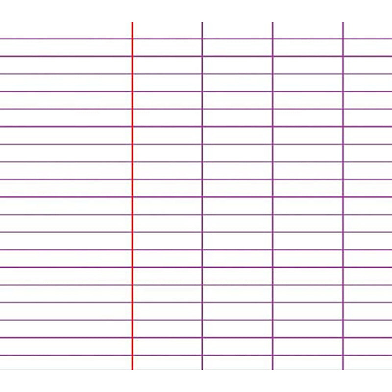 CLAIREFONTAINE Single Sheets 24x32cm 100sh Seyes Default Title