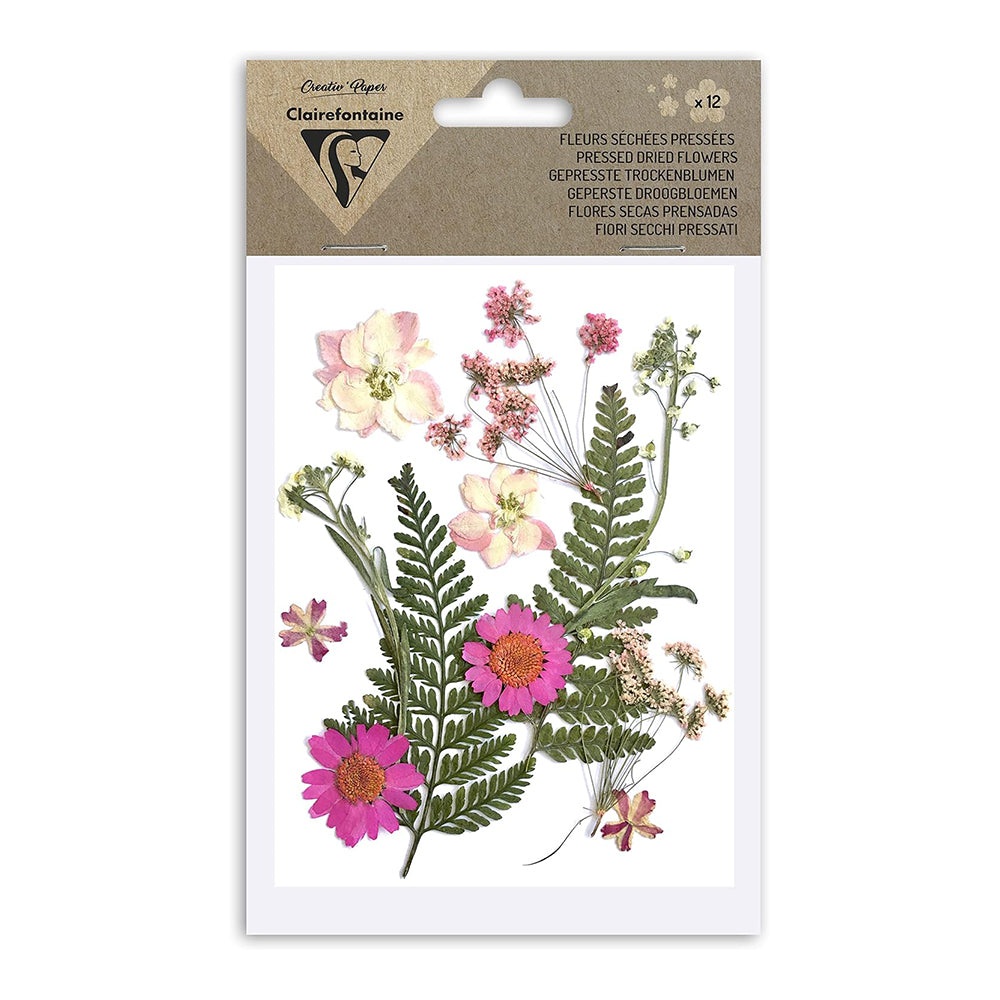 CLAIREFONTAINE Pressed Dried Flowers 12s Pink