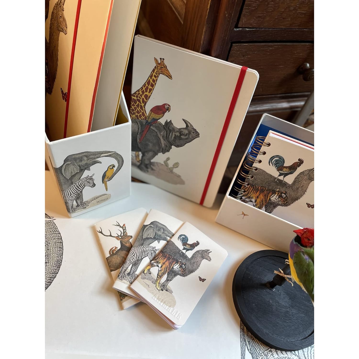 CLAIREFONTAINE Animalis Stapled Notebook 7.5x12cm 48s Plain Elephan