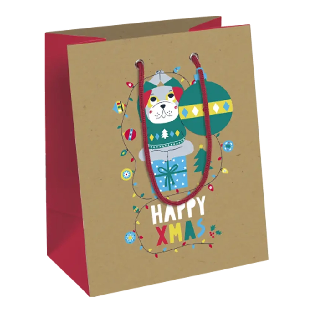CLAIREFONTAINE Gift Bag Pocket 17x6x22cm Make A Wish