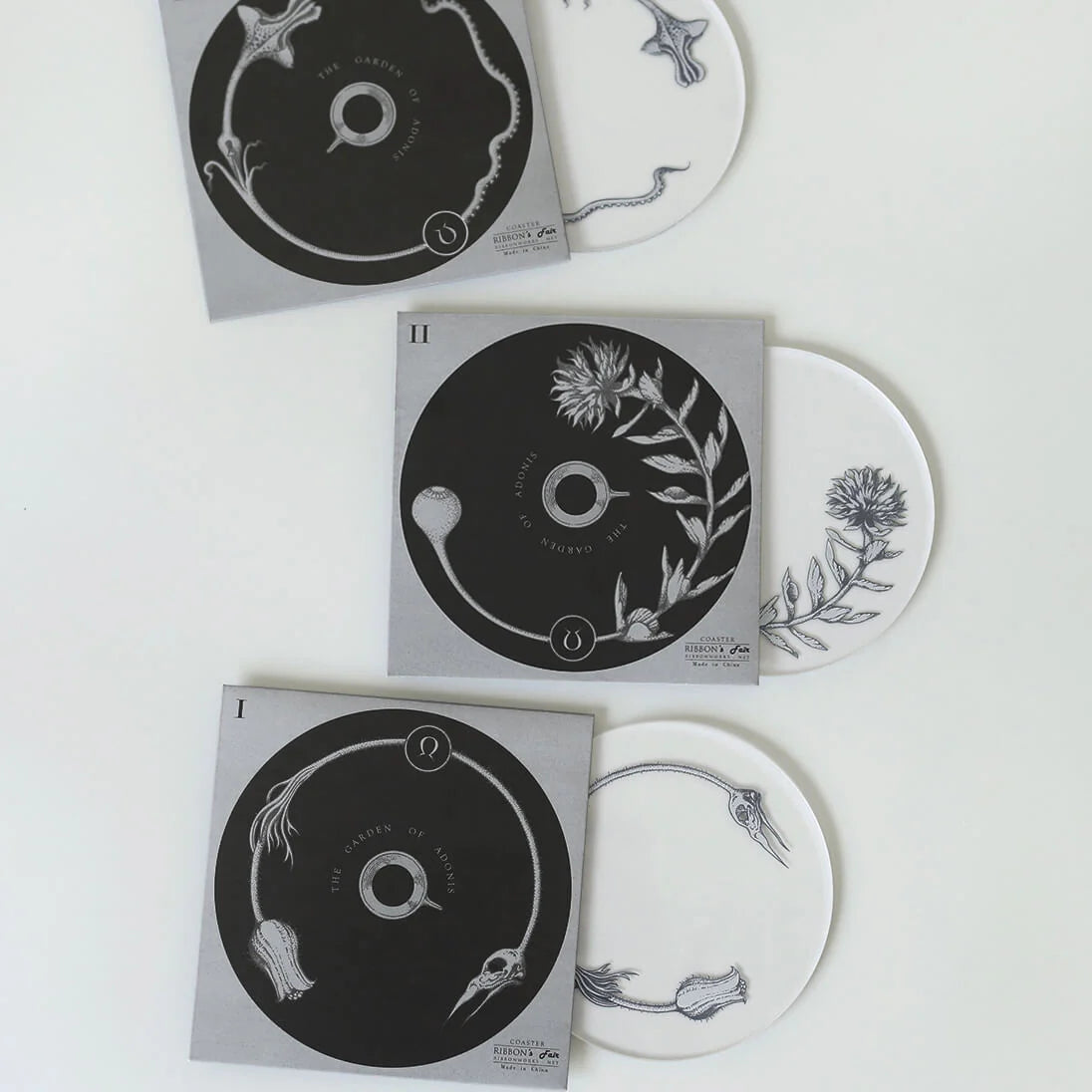 RIBBON WORKS Acrylic Coaster Plant Specimens (III)