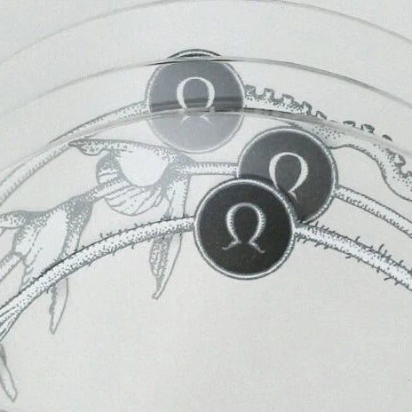 RIBBON WORKS Acrylic Coaster Plant Specimens (III)