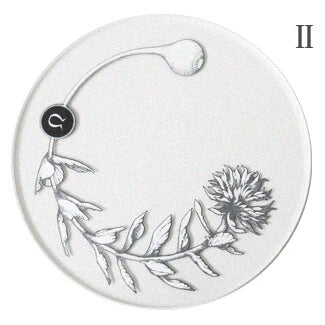 RIBBON WORKS Acrylic Coaster Plant Specimens (III)