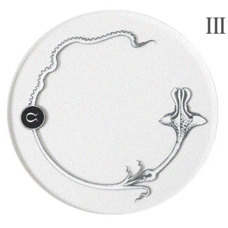 RIBBON WORKS Acrylic Coaster Plant Specimens (III)