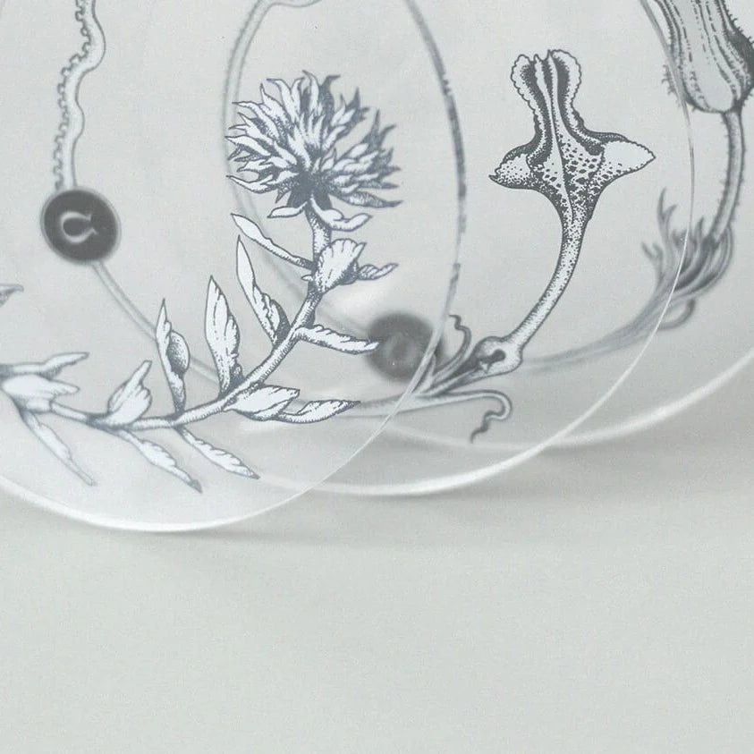RIBBON WORKS Acrylic Coaster Plant Specimens (II)