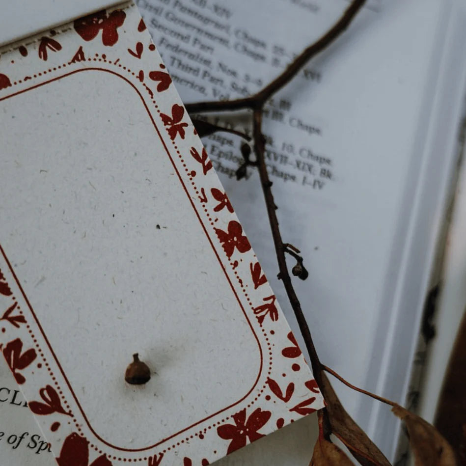 MEOW ILLUSTRATION Letterpress Memo Pad Amber