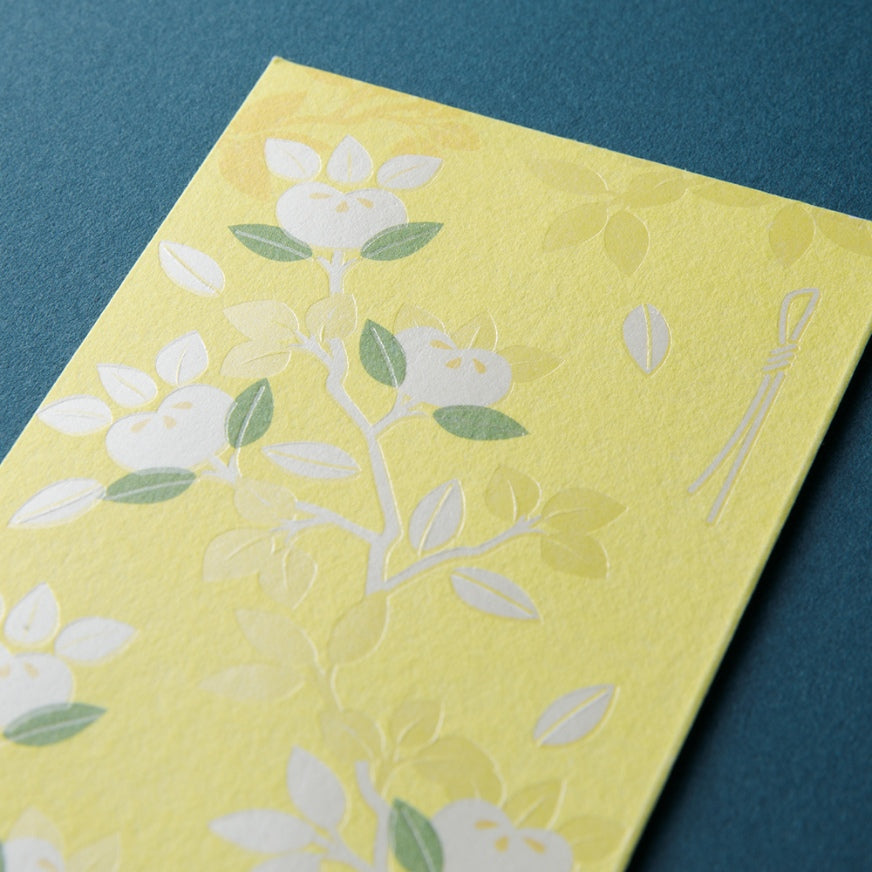 MIDORI Mini Money Envelope 591 Citrus Tachibana