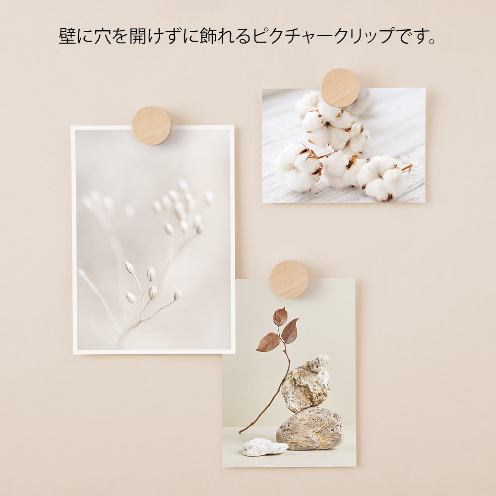 MIDORI Wooden Picture Clip Natural