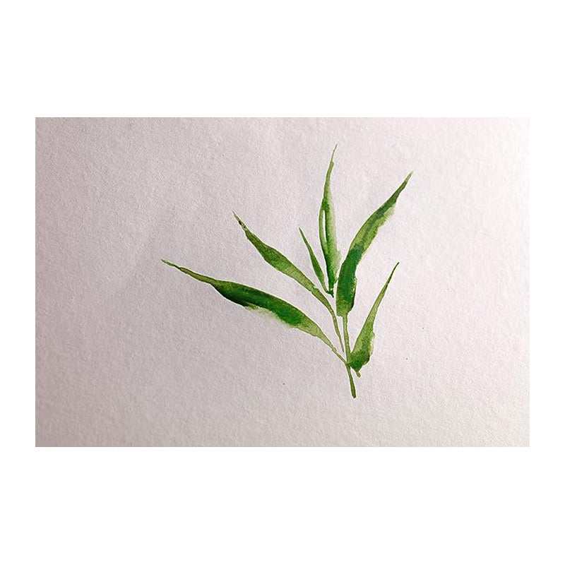 CLAIREFONTAINE Bamboo Wirebound Pad 250g 29.7x29.7cm 15s Default Title