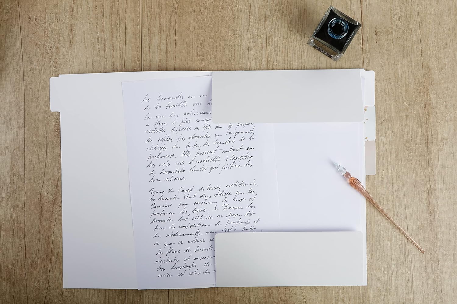 CLAIREFONTAINE x Evanescence Tabbed Folder 22x31cm Set of 3