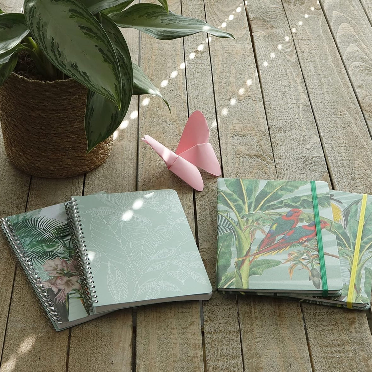 CLAIREFONTAINE x Jungle Harmony Hardcover Notebook A6 48s Lined Parrot Plant