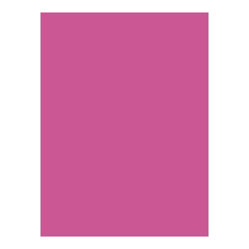 CLAIREFONTAINE Coloured Poster Paper 60x80cm 25s Fuchsia