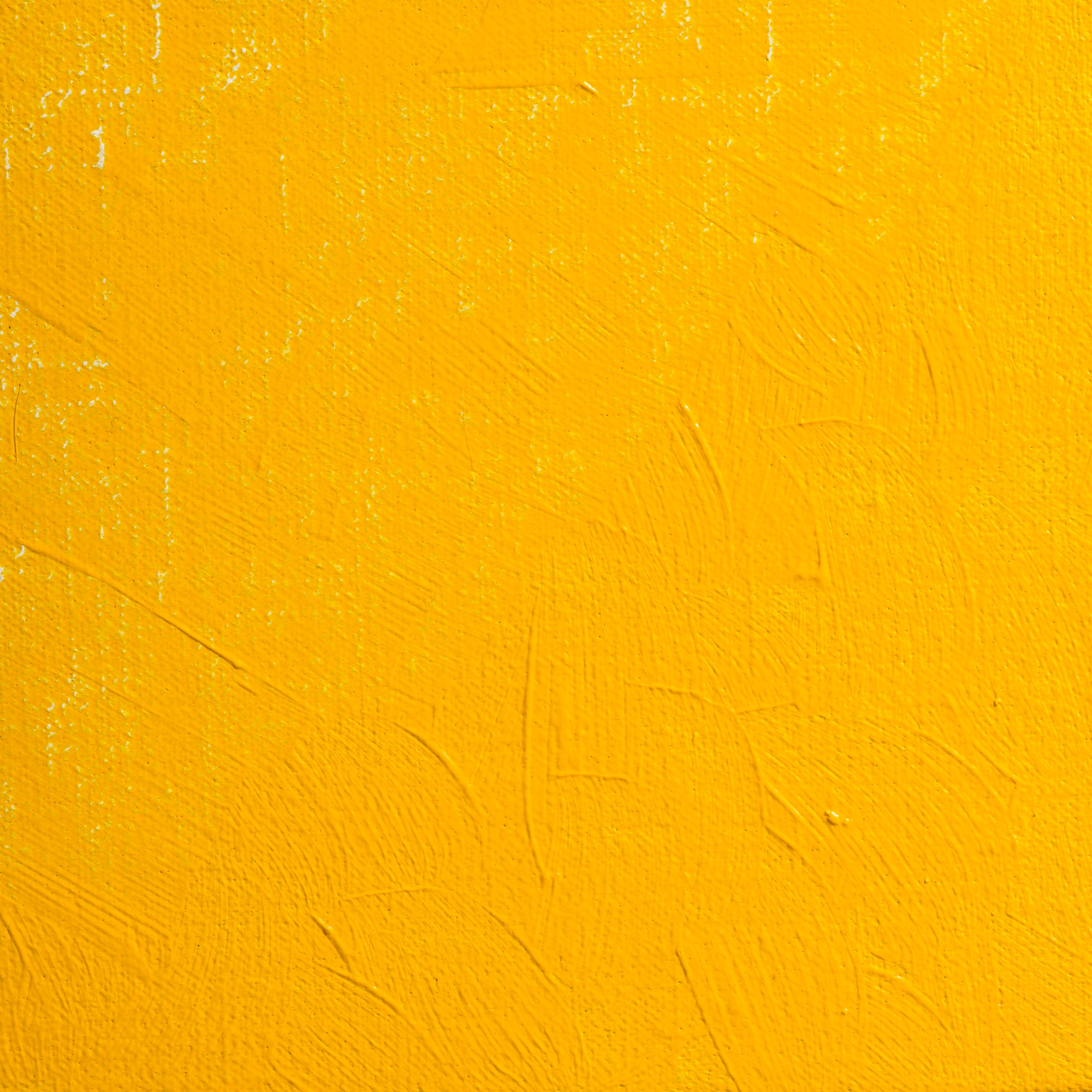 BLOCKX Premium Extra-Fine Oils Tube 20ml Primary Yellow