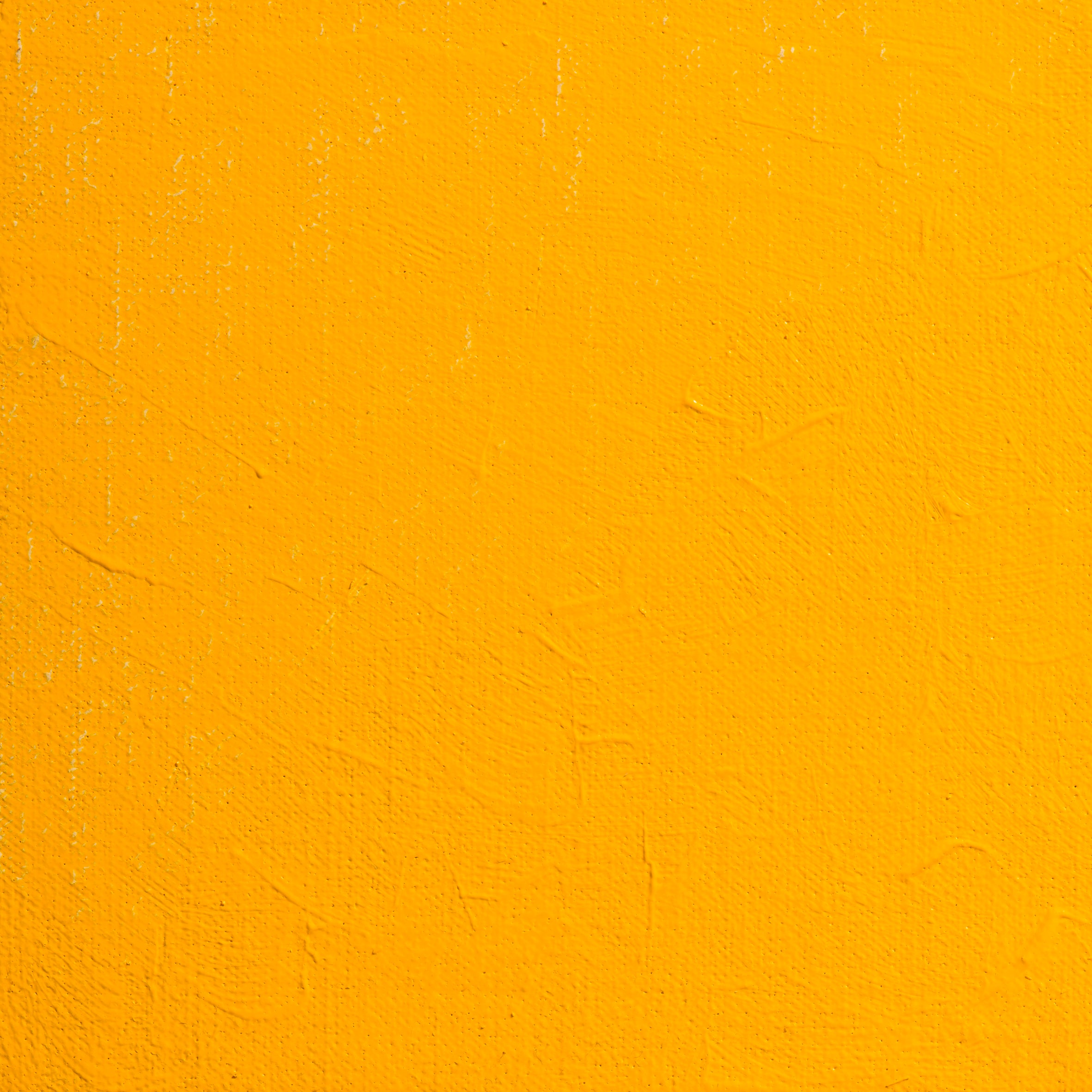 BLOCKX Premium Extra-Fine Oils Tube 20ml Cadmium Yellow Light