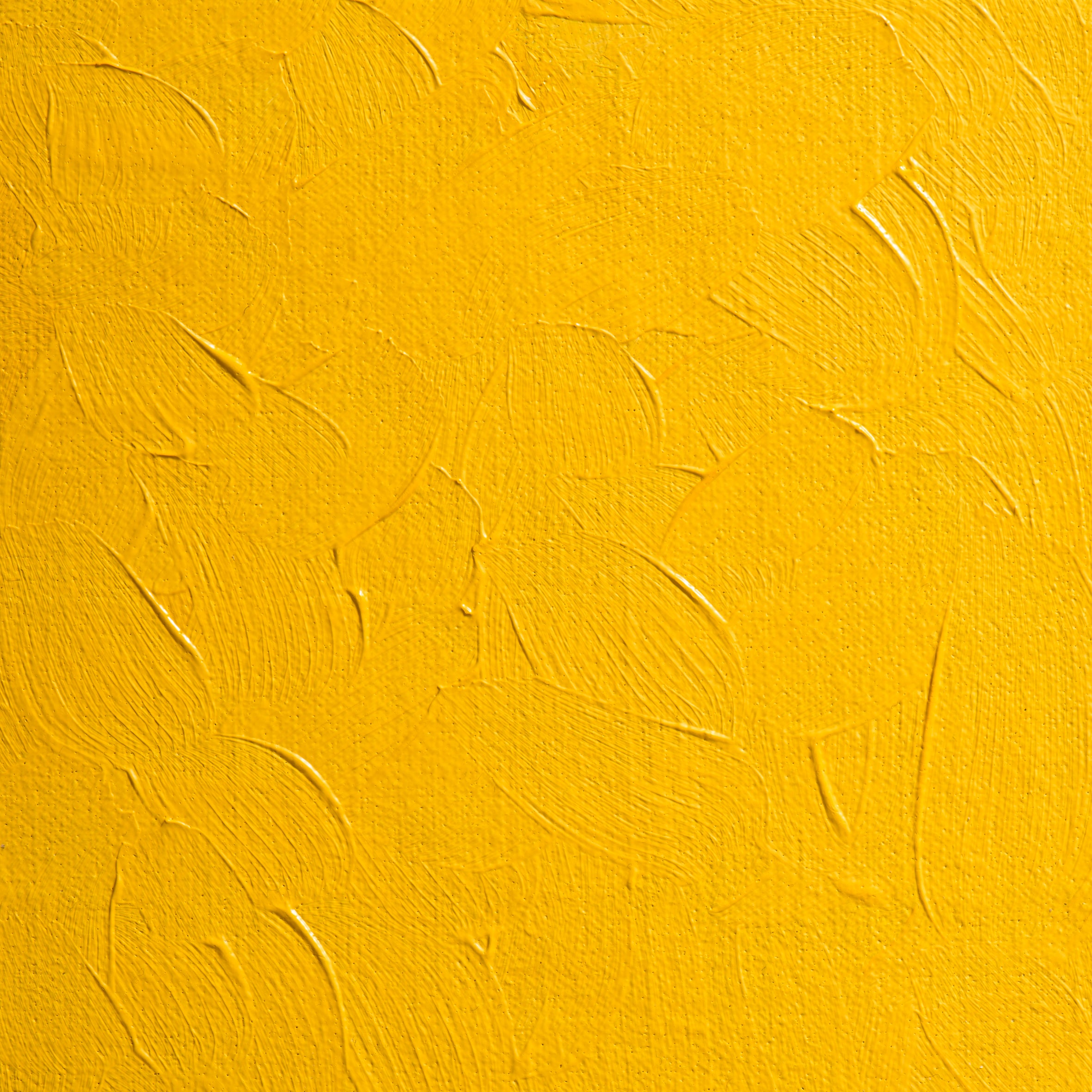 BLOCKX Premium Extra-Fine Oils Tube 20ml Cadmium Yellow Medium