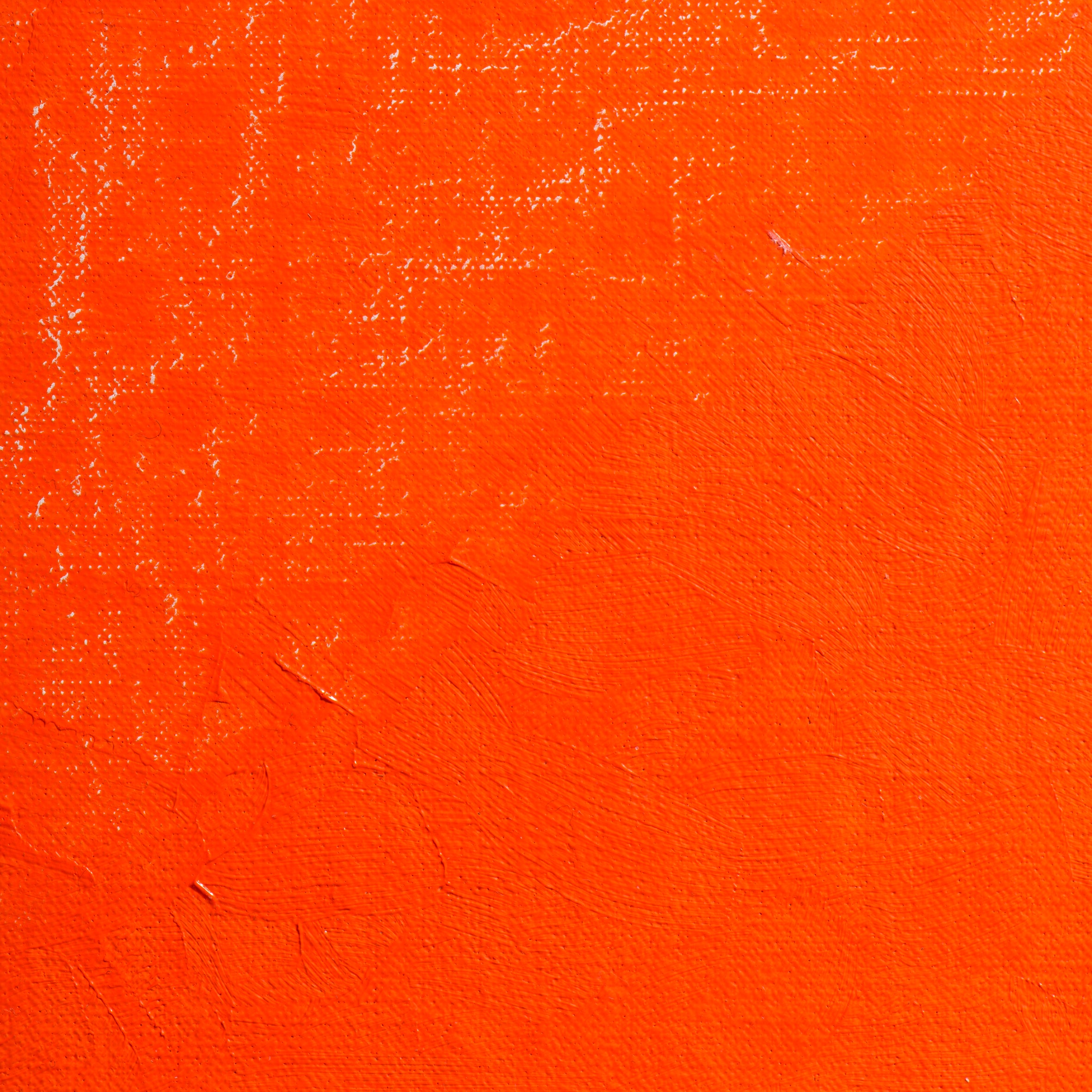 BLOCKX Premium Extra-Fine Oils Tube 20ml Pyrrolo Vermilion