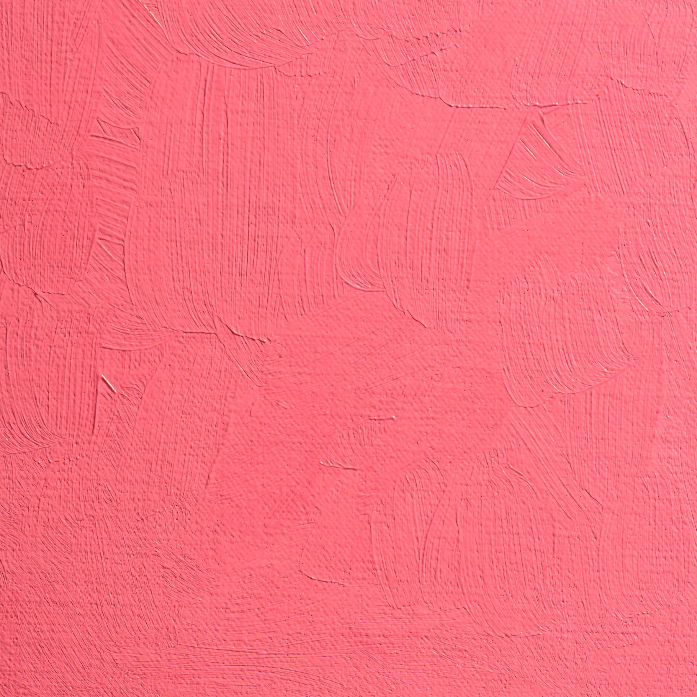 BLOCKX Premium Extra-Fine Oils Tube 20ml Rose Madder Pale