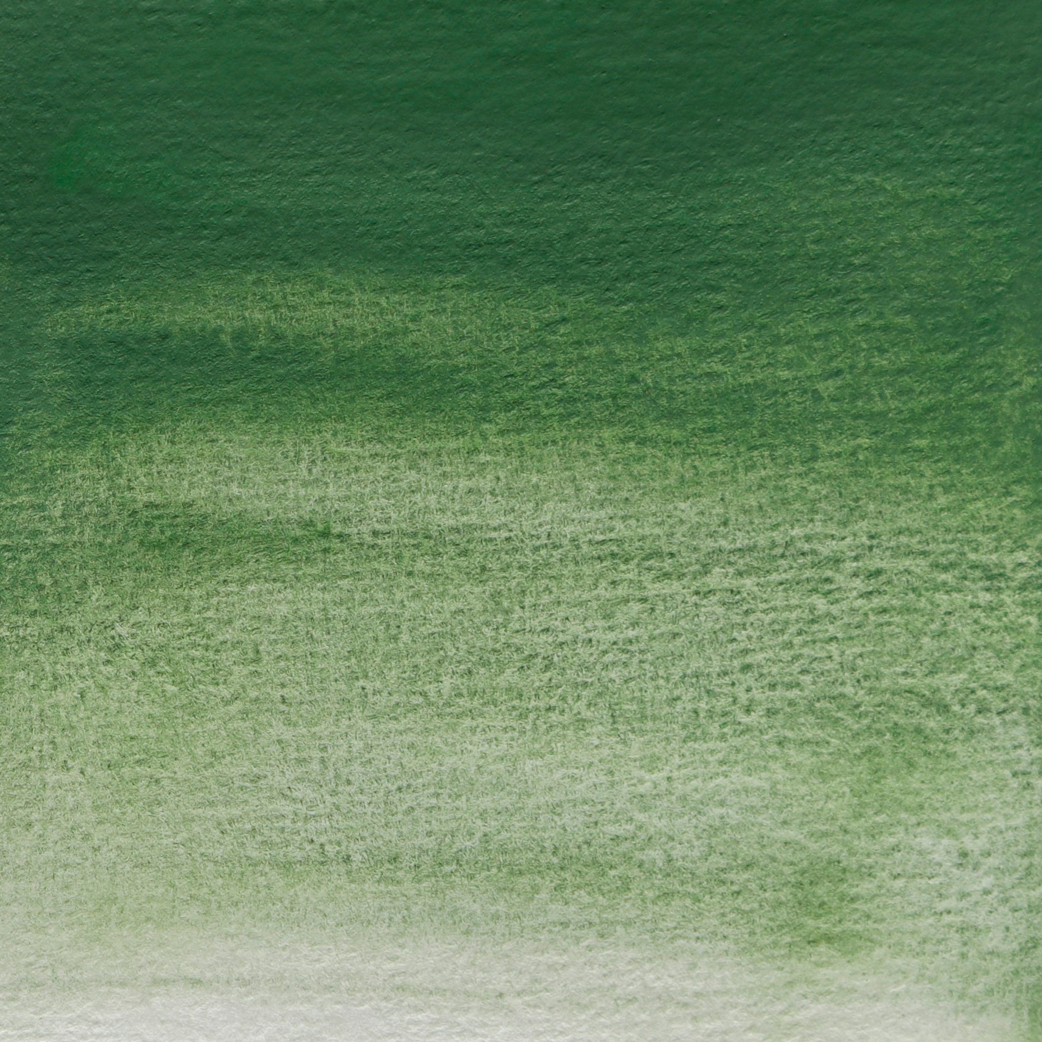 BLOCKX Artists' Watercolour Half Pan 1.5ml Chrome Green