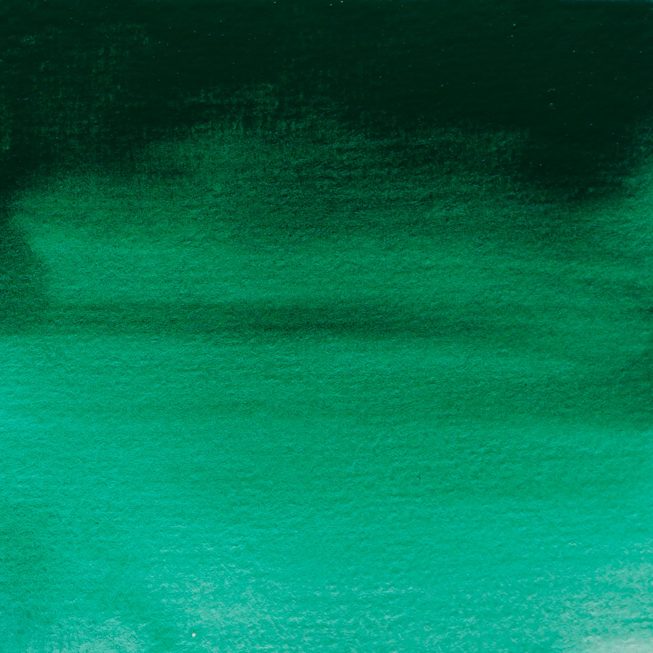 BLOCKX Artists' Watercolour Half Pan 1.5ml Permanent Green