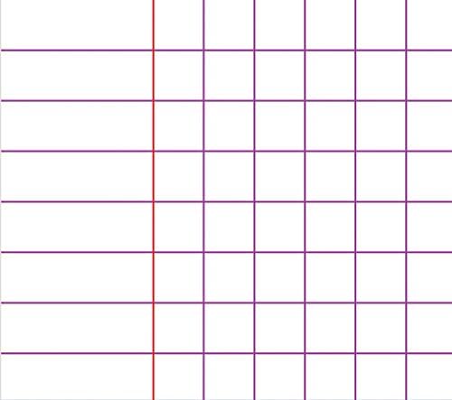 CLAIREFONTAINE Forever Premium Wirebound Notebook 4 Holes punched A4+ 70g 5x5 Sq+Margin