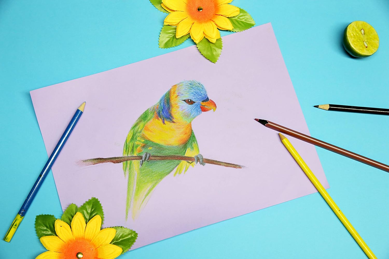 CLAIREFONTAINE Tulipe Coloured Drawing Paper A4 160g 100s Orange