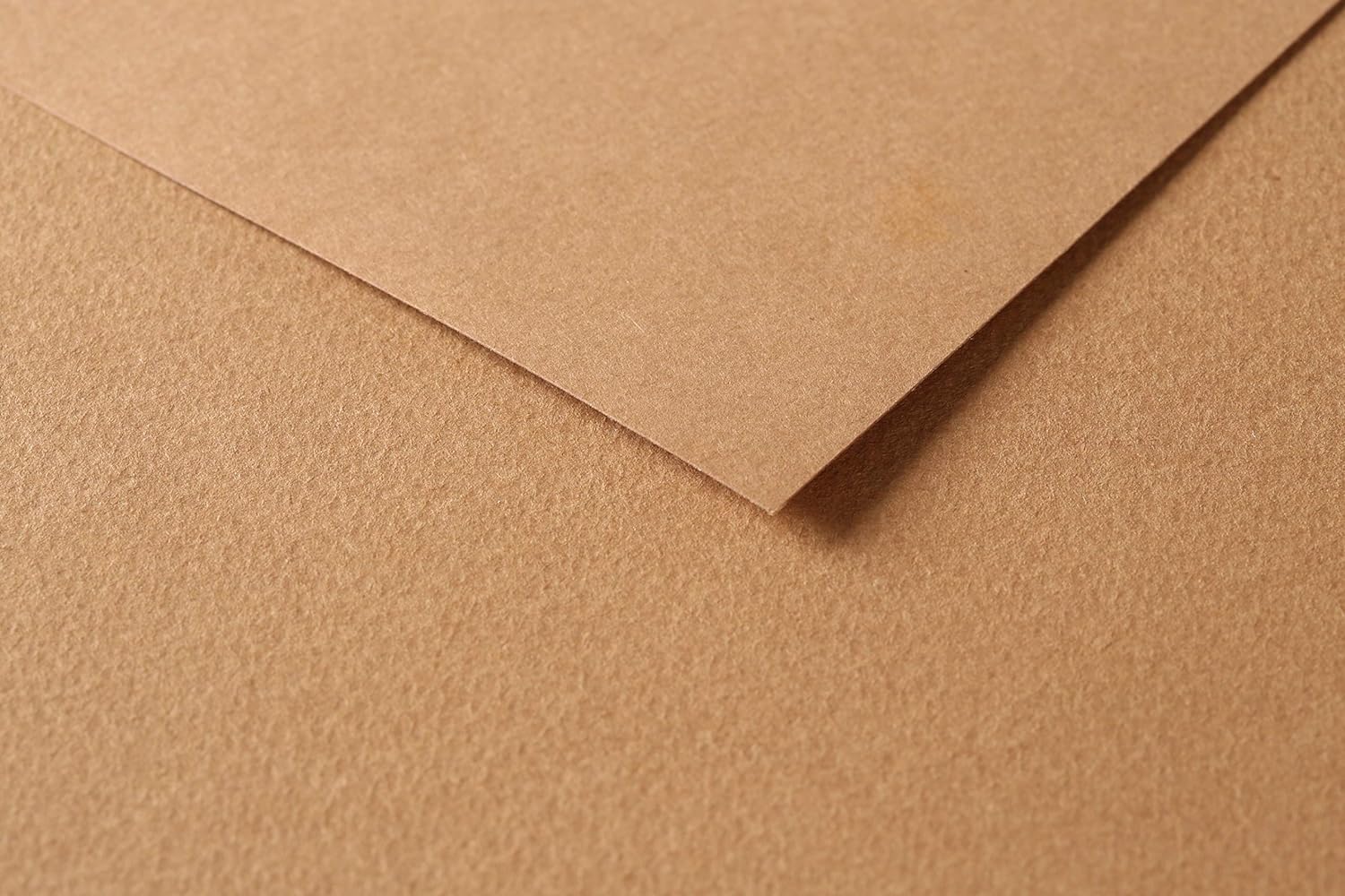 CLAIREFONTAINE Tulipe Coloured Drawing Paper A4 160g 100s Light Brown