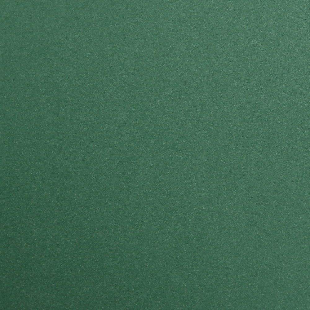 CLAIREFONTAINE Maya Coloured Paper A4 270g 25s Antique Green