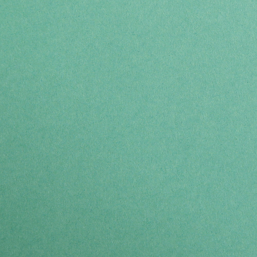 CLAIREFONTAINE Maya Coloured Paper A4 270g 25s Dark Forest Green