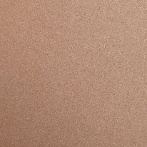 CLAIREFONTAINE Maya Coloured Paper A4 120g 25s Light Brown