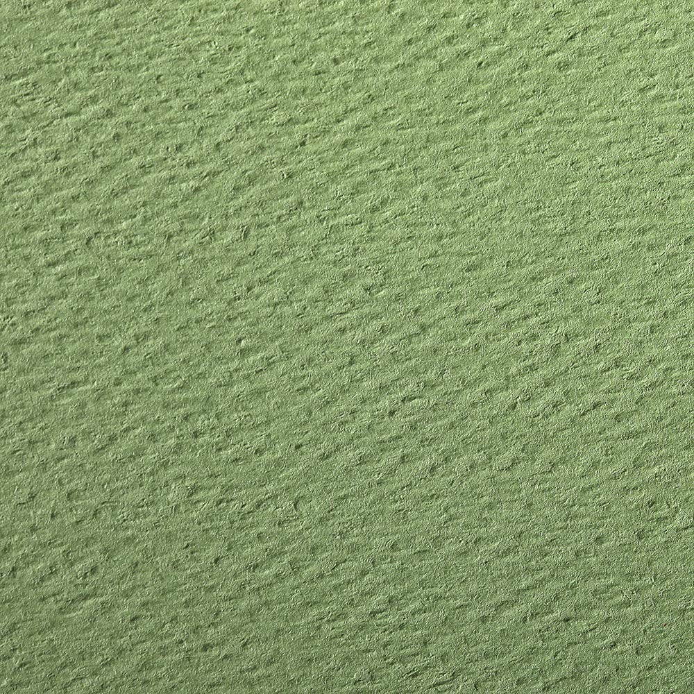 CLAIREFONTAINE Etival Coloured Paper 50x65cm 160g 24s Apple Green