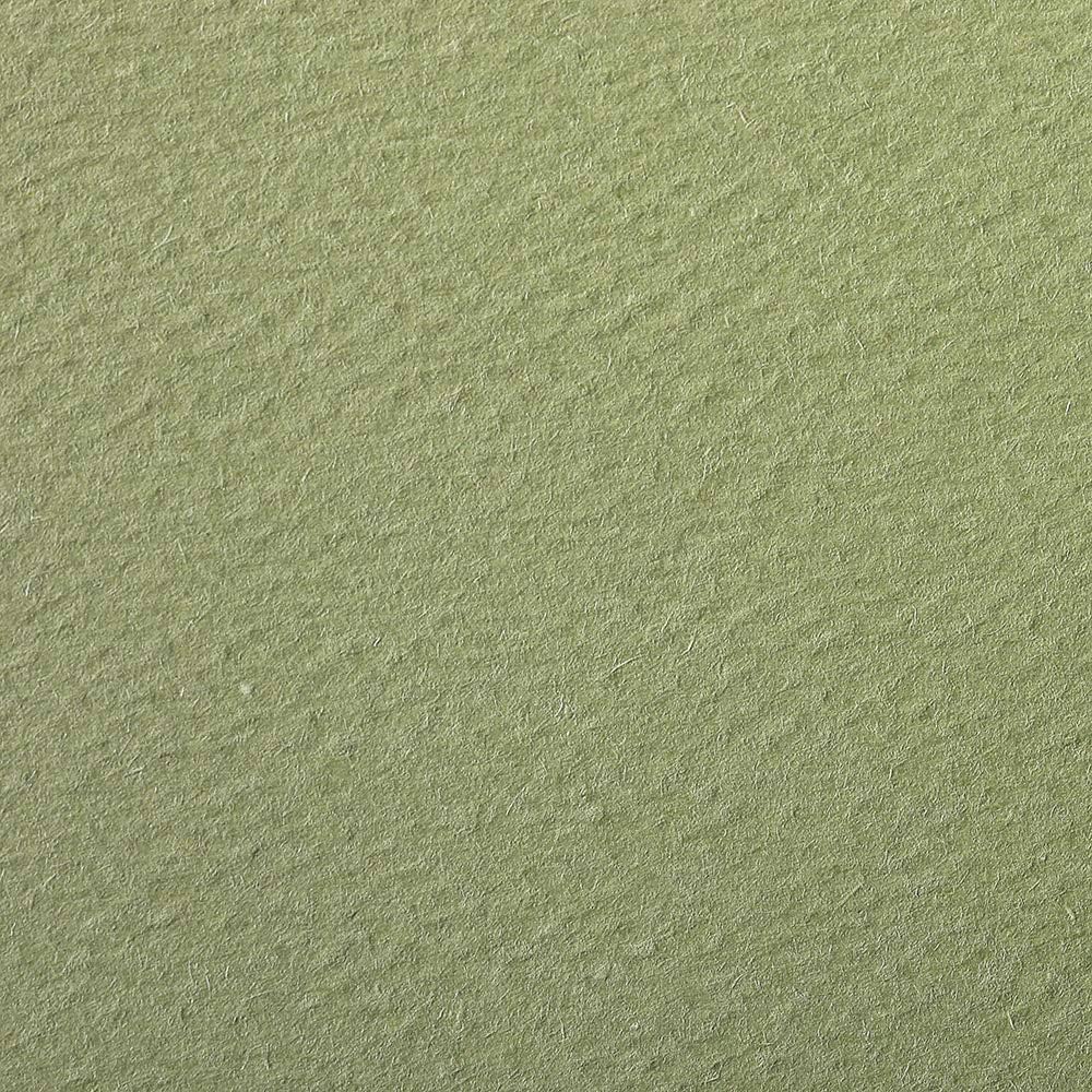 CLAIREFONTAINE Etival Coloured Paper 50x65cm 160g 24s Almond Green